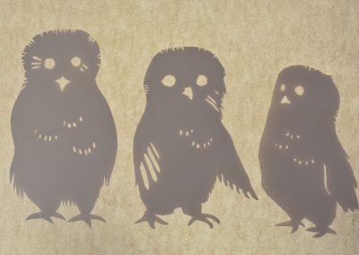 Owls, Shadow Puppets
